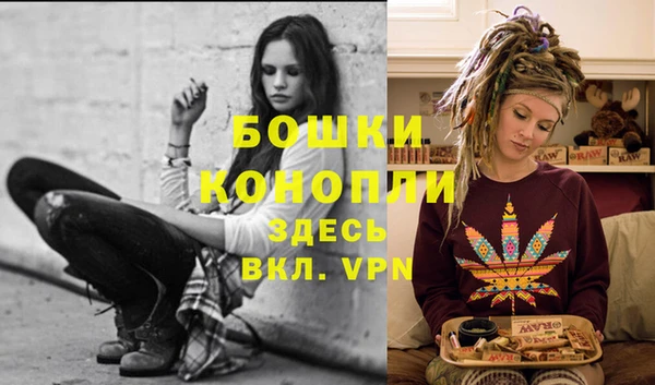 первитин Богданович