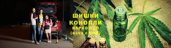 СК Белокуриха