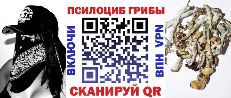 Галлюциногенные грибы Psilocybine cubensis  закладки  Пенза 